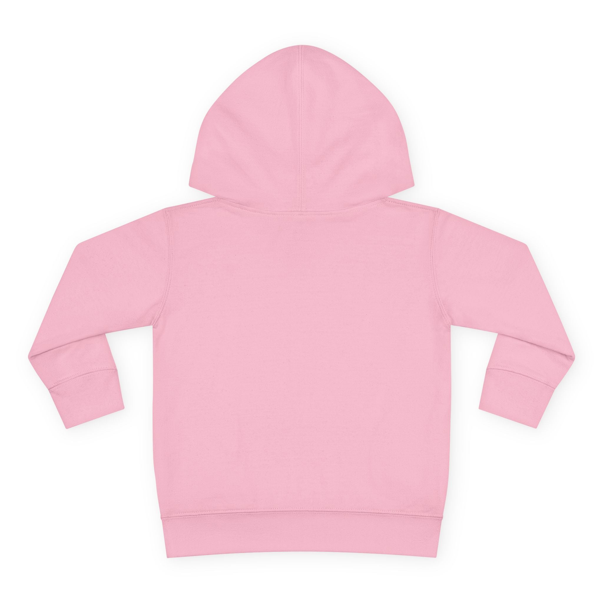 Toddler Hoodie — "I Have No Idea What This Is" Colorful Toy Graphic
