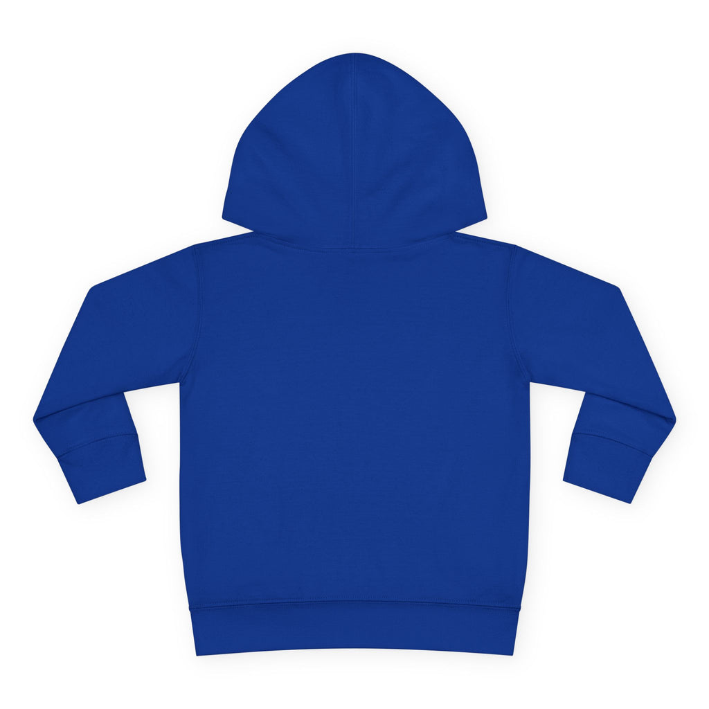 Toddler Hoodie — "I Have No Idea What This Is" Colorful Toy Graphic