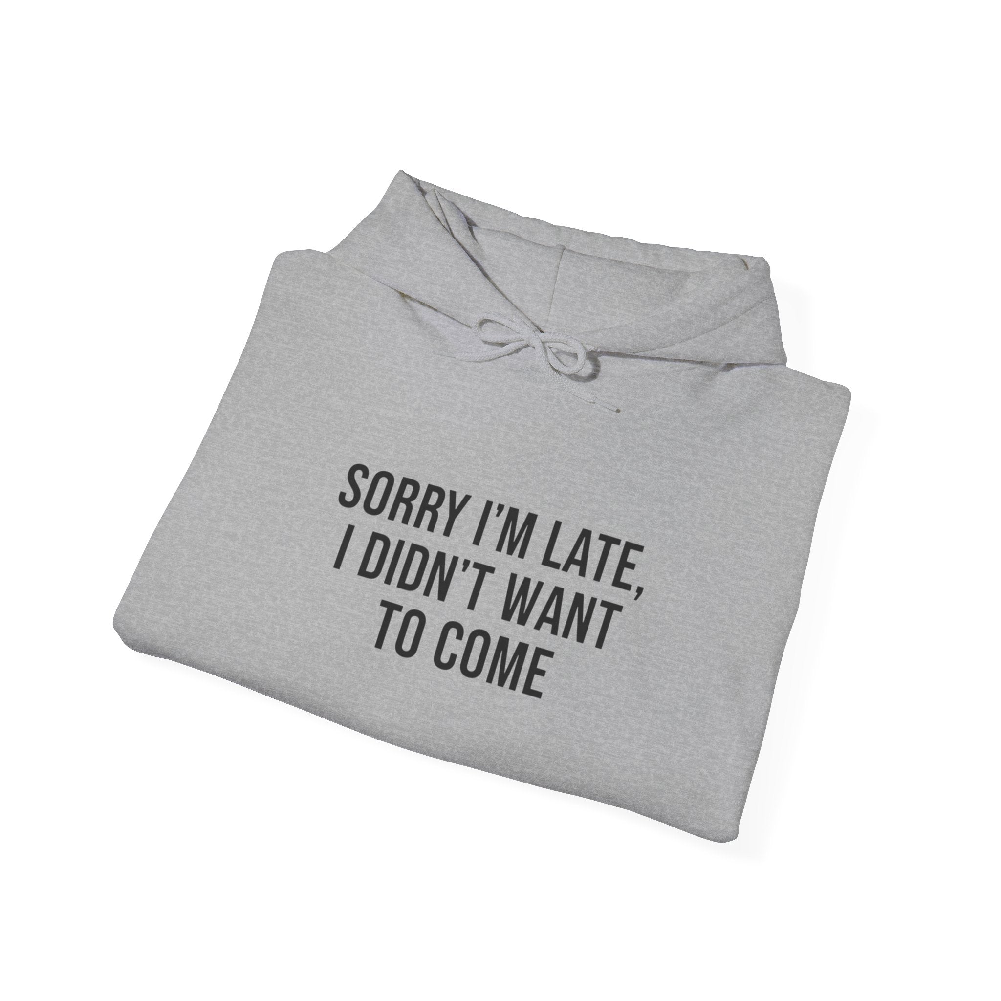 Sorry I'm Late I Didn't Want To Come Hoodie | Sarcastic Self-Image Humor, Introvert Quote