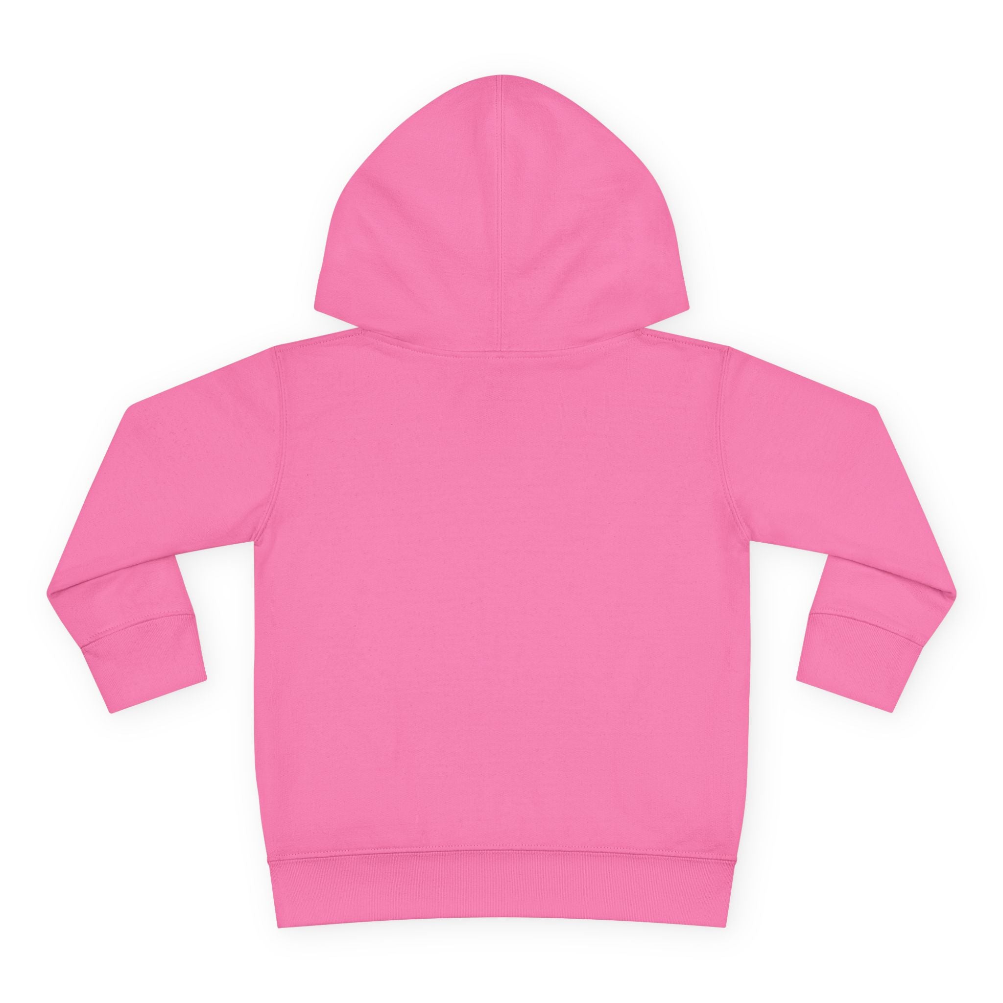 Toddler Hoodie — "I Have No Idea What This Is" Colorful Toy Graphic