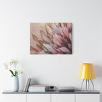 Feathered Pampas Wall Art Canvas — Blush Pink Botanical Decor, Matte Stretched 1.25"