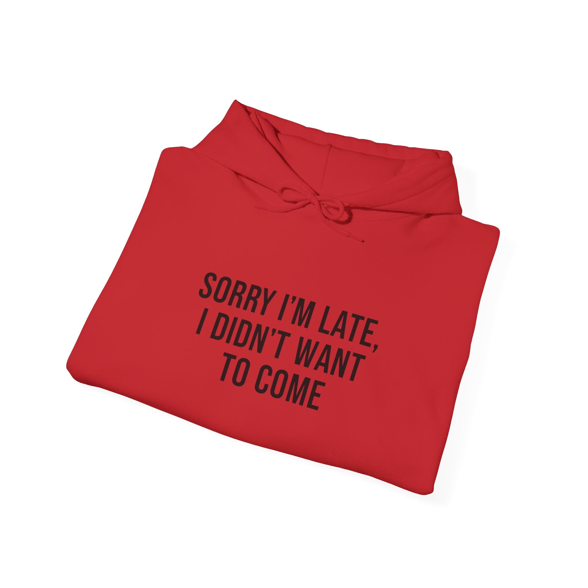 Sorry I'm Late I Didn't Want To Come Hoodie | Sarcastic Self-Image Humor, Introvert Quote