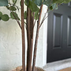 Tall Lifelike Potted Tree